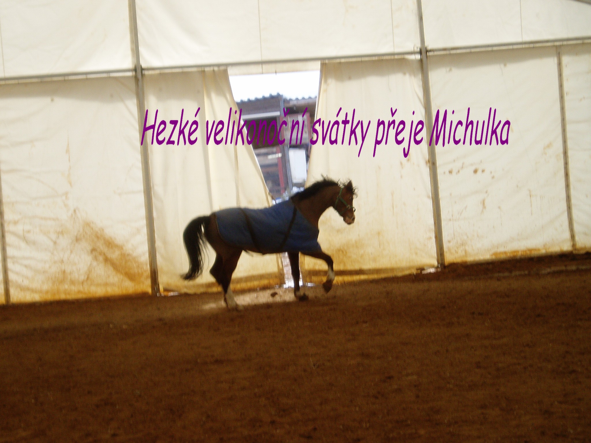 P1010061.JPG